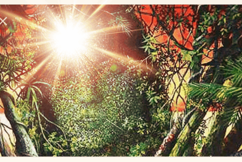 shaman image for website.GIF