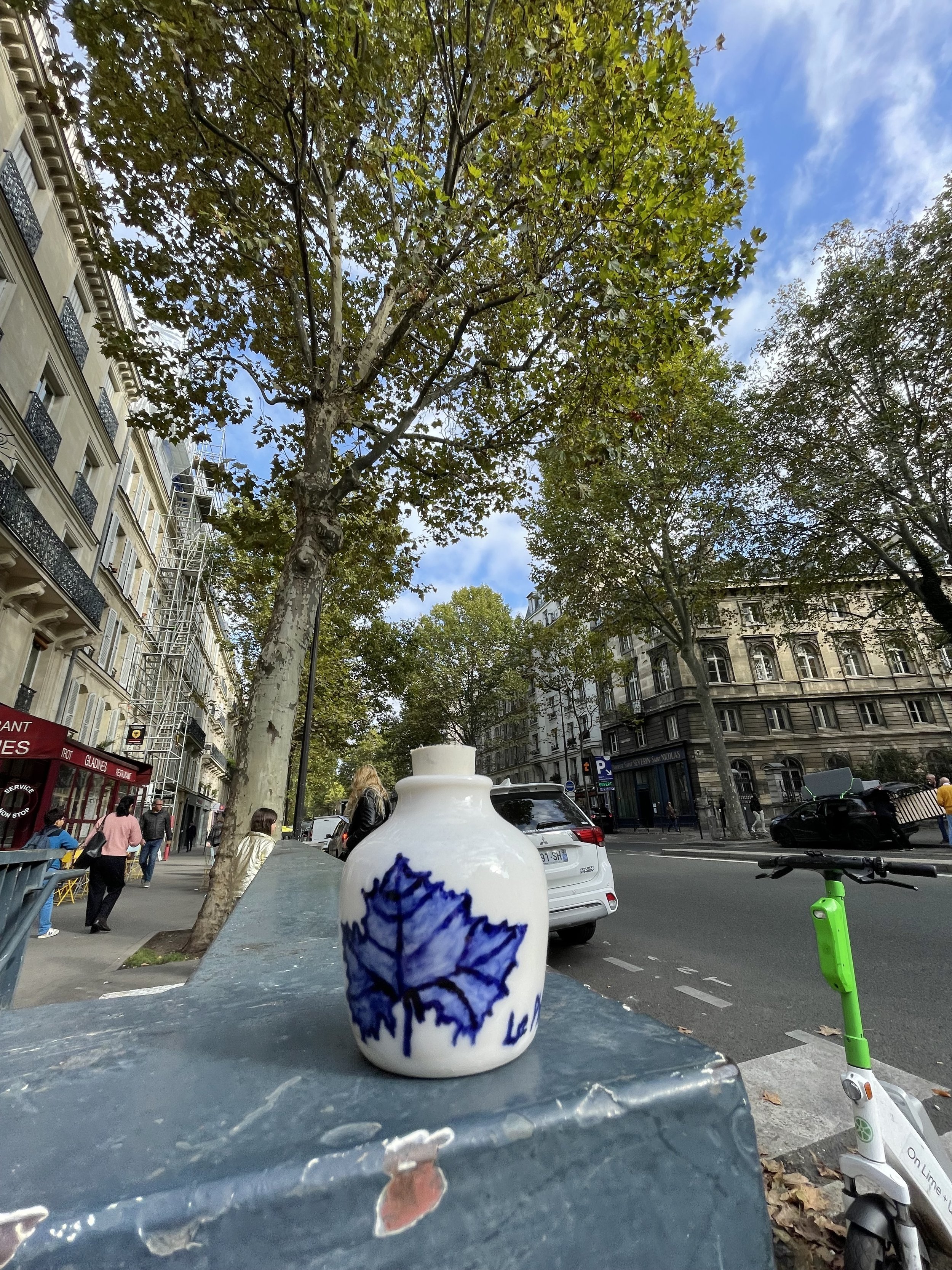 IMG_7596.jpeg