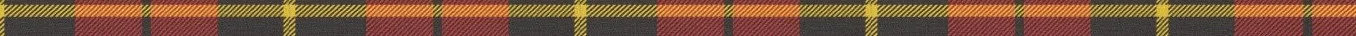 Tartan - long narrow unprocessed.jpg
