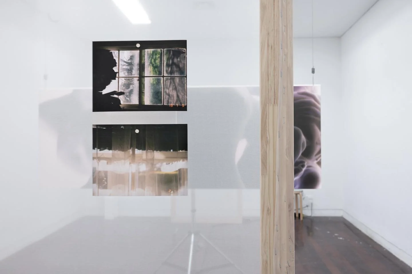 3: final critique @vca_art_honours 

silk, wood, photographs, charcoal, gouache, lighting, tripod and magnets.