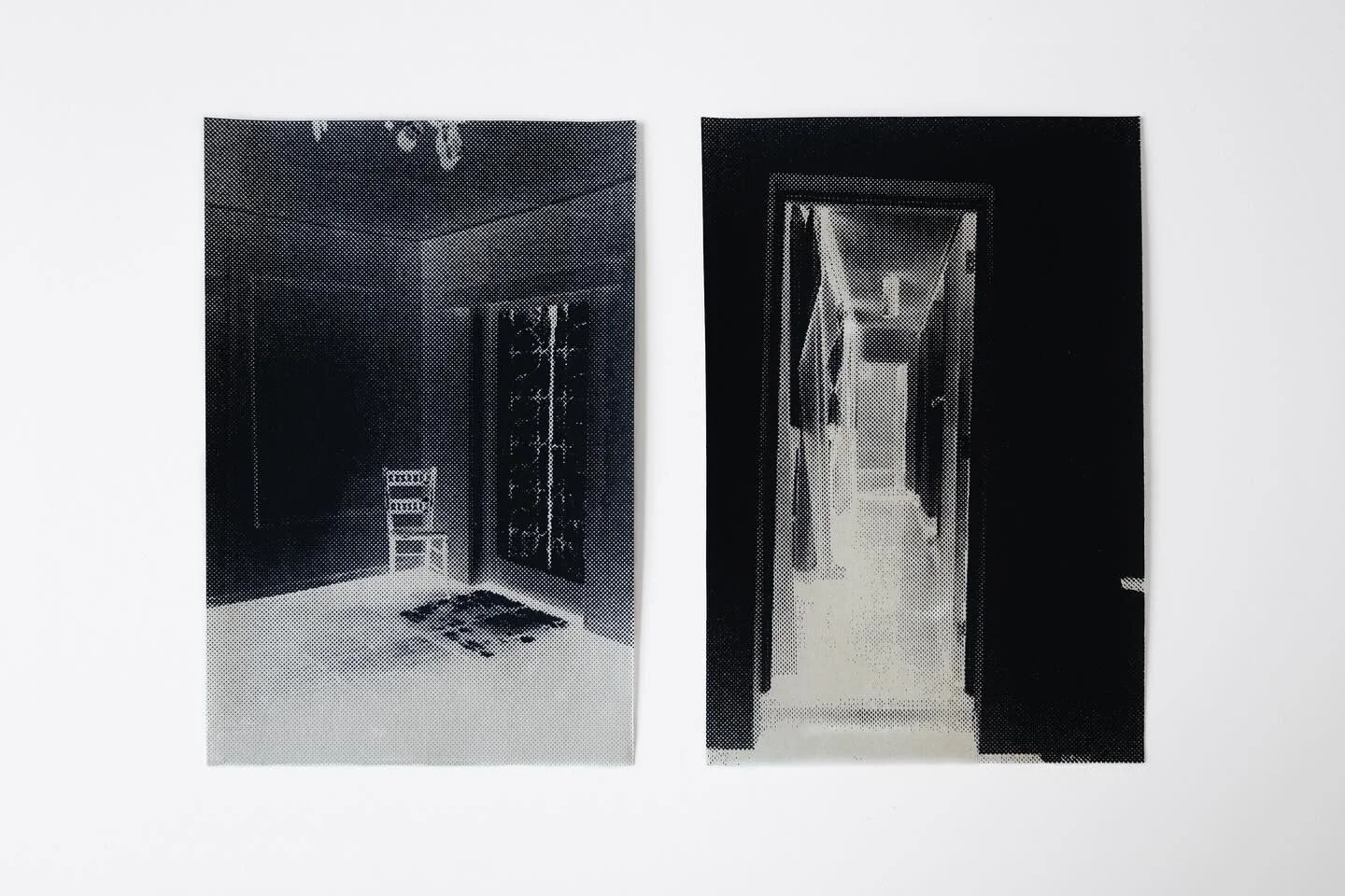 Catalogue of available works coming soon ❤️&zwj;🔥
&nbsp;
These are sold as a pair and are black screen prints on hand-made Kozo fibre paper in buff tone, edition of 5. 
&nbsp;
Please contact me via email (camillecargill@gmail.com) or dm me your emai