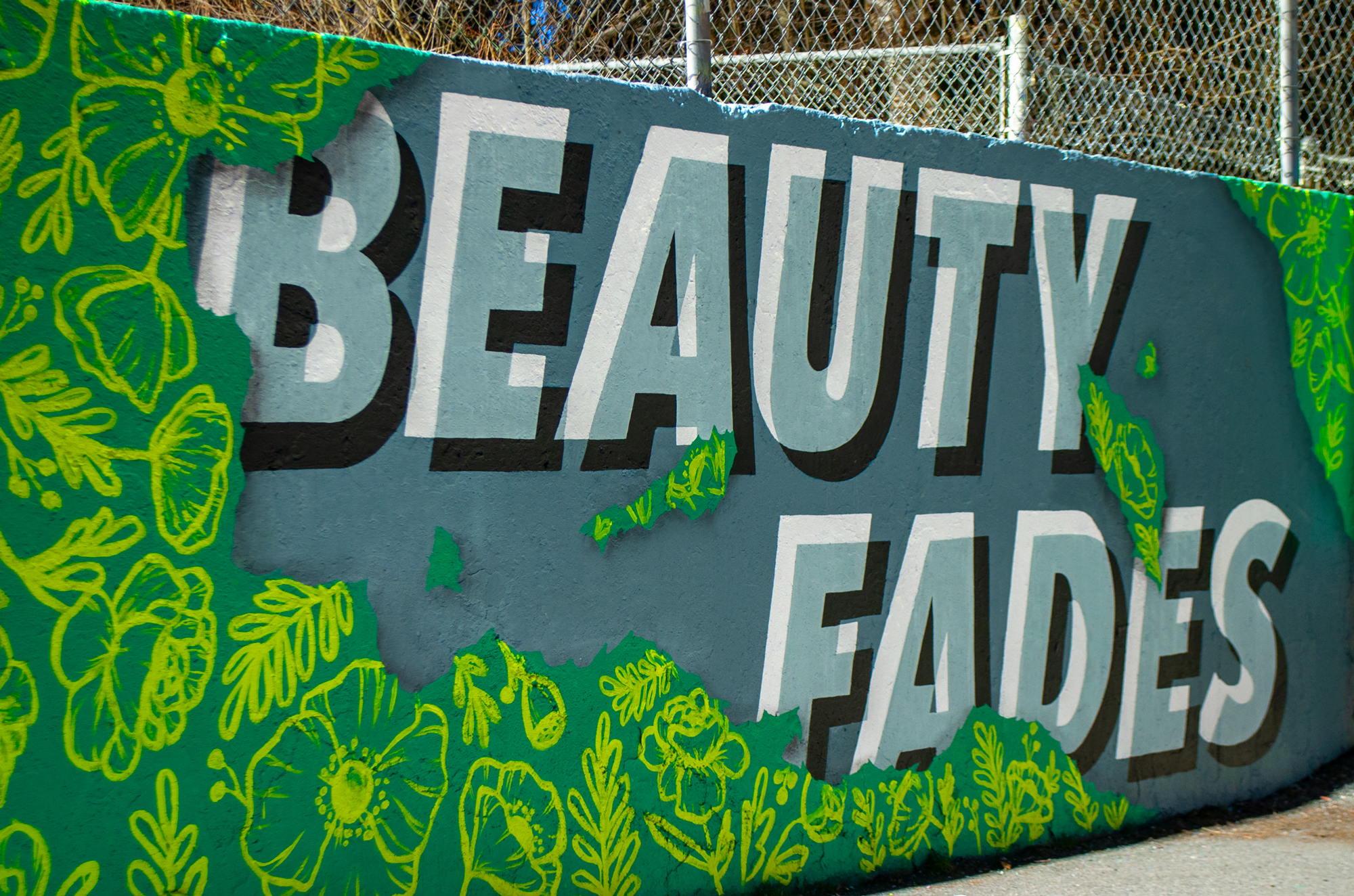 BeautyFades_Detail2.jpg