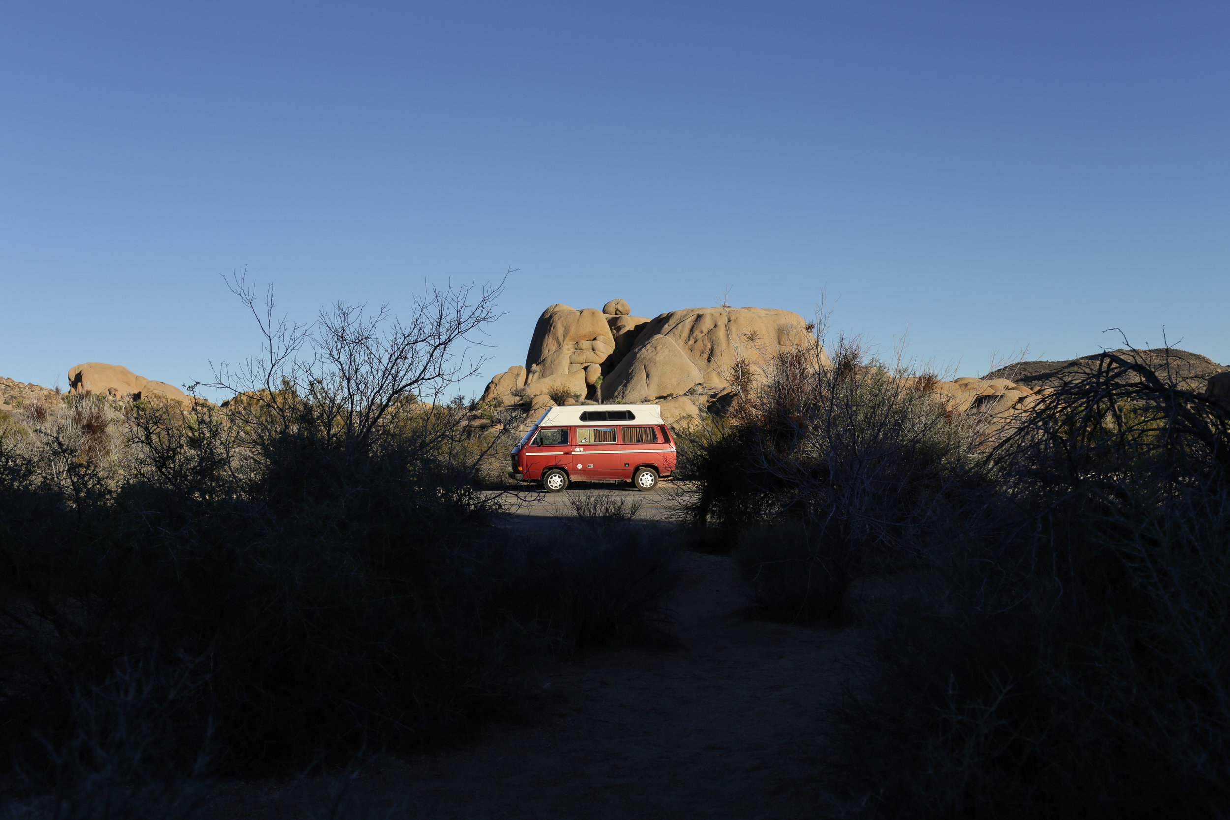  Joshua Tree National Park 