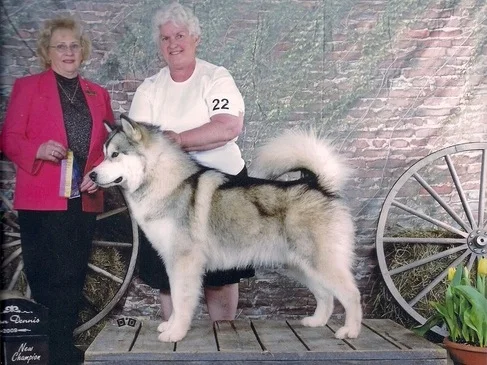 Janis and Cruiser after earning his CKC Championship
