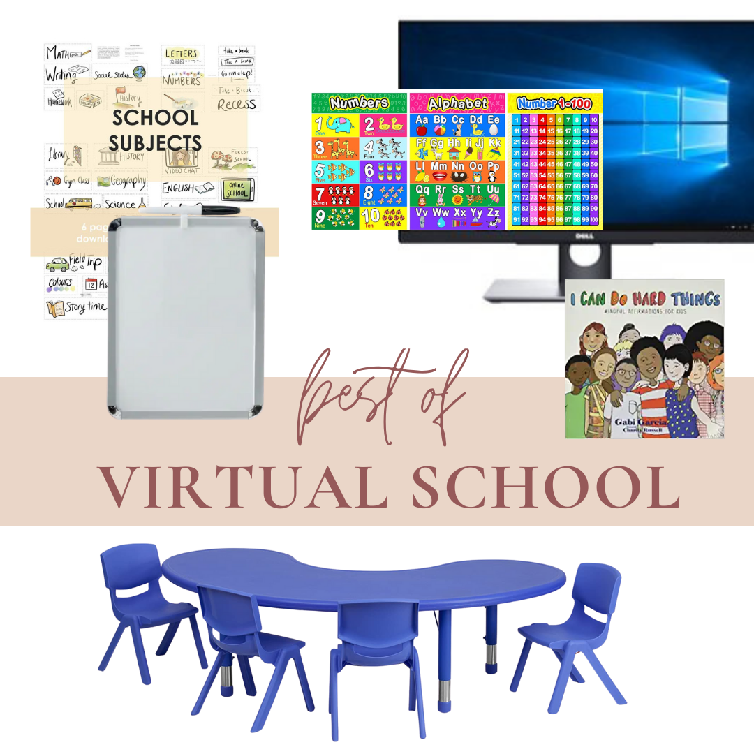 Best of Virtual School.png