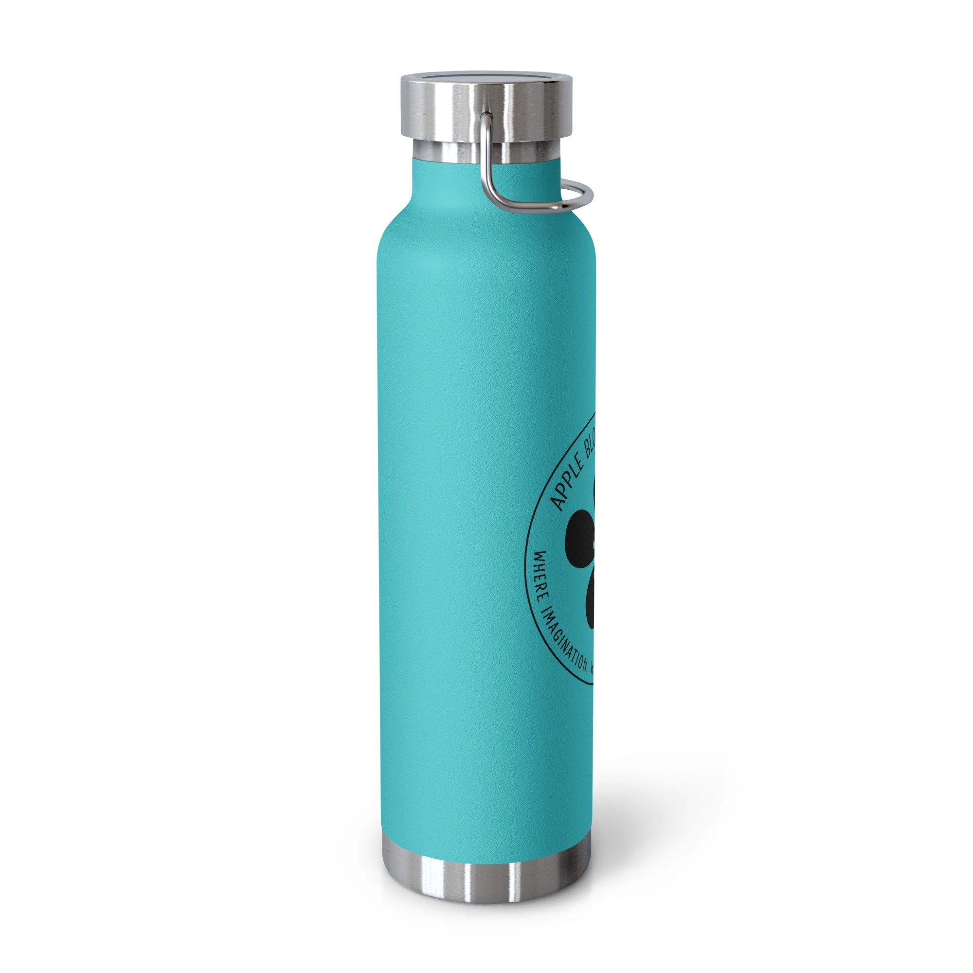 copper-vacuum-insulated-bottle-(22oz)-mint-green-22oz-left-6a34880043441.jpg