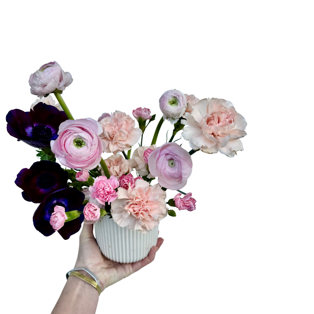 Untitled design-3.png