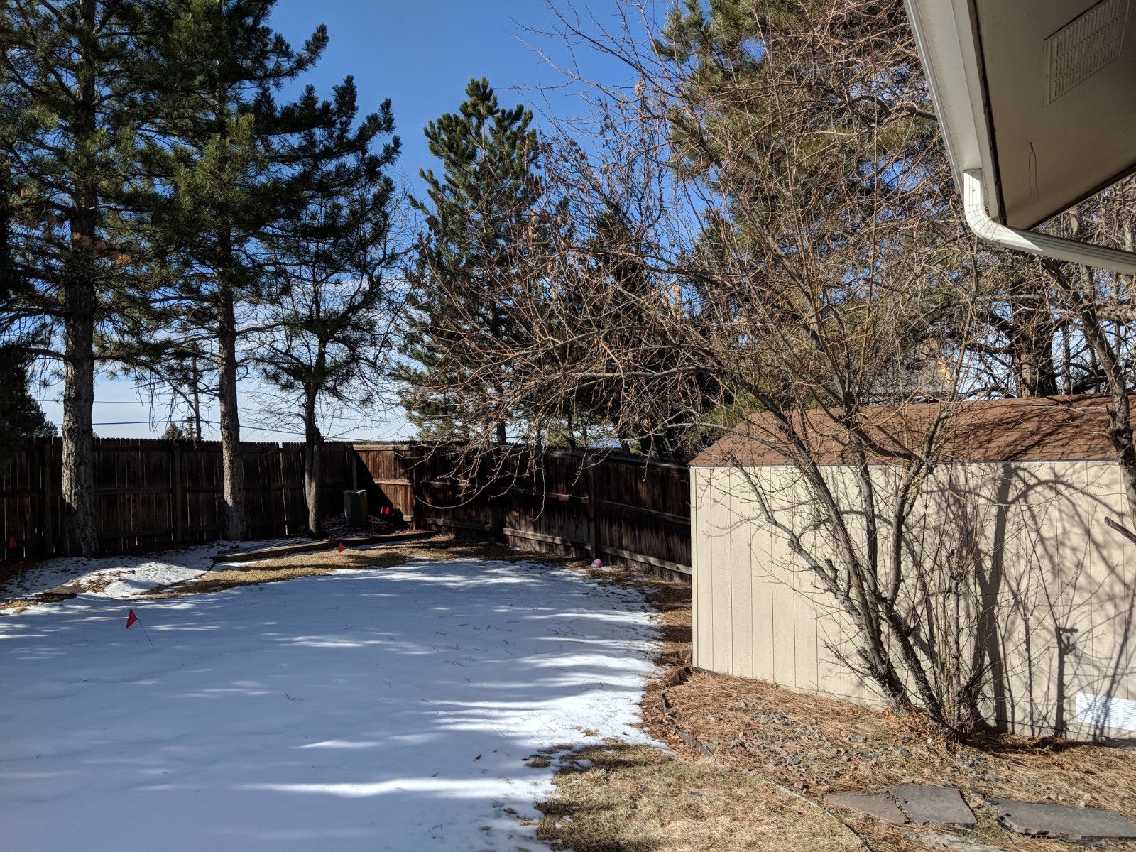 IMG_20190212_102606.jpg