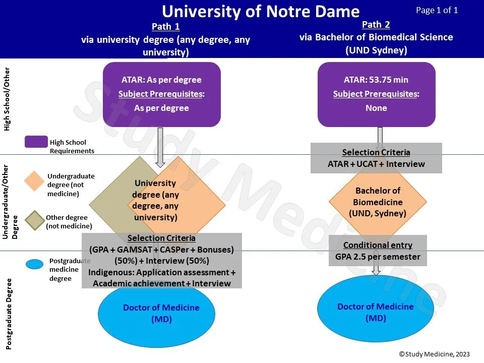 University of Notre Dame Medicine Summary — Study Medicine