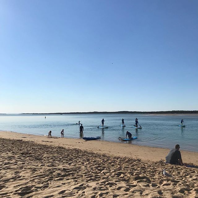 Great lesson this morning!! Got everyone up on their feet in perfect conditions, before it got too hot 🥵 
#inverloch3996 #inverlochsup #gippygirlscan #standuppaddleboarding