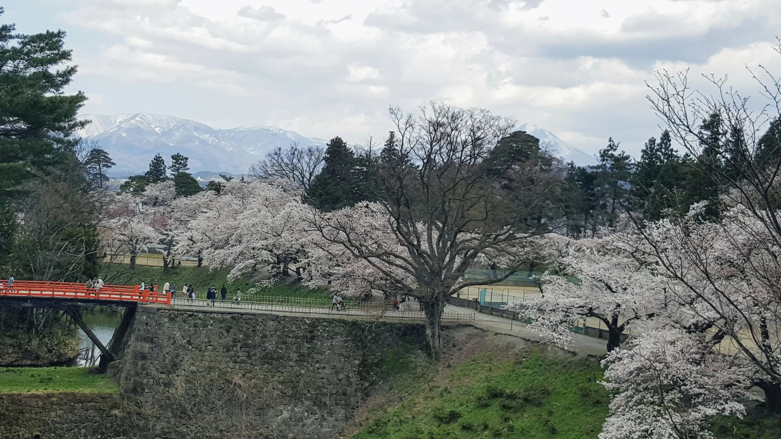 20170421_134226.jpg
