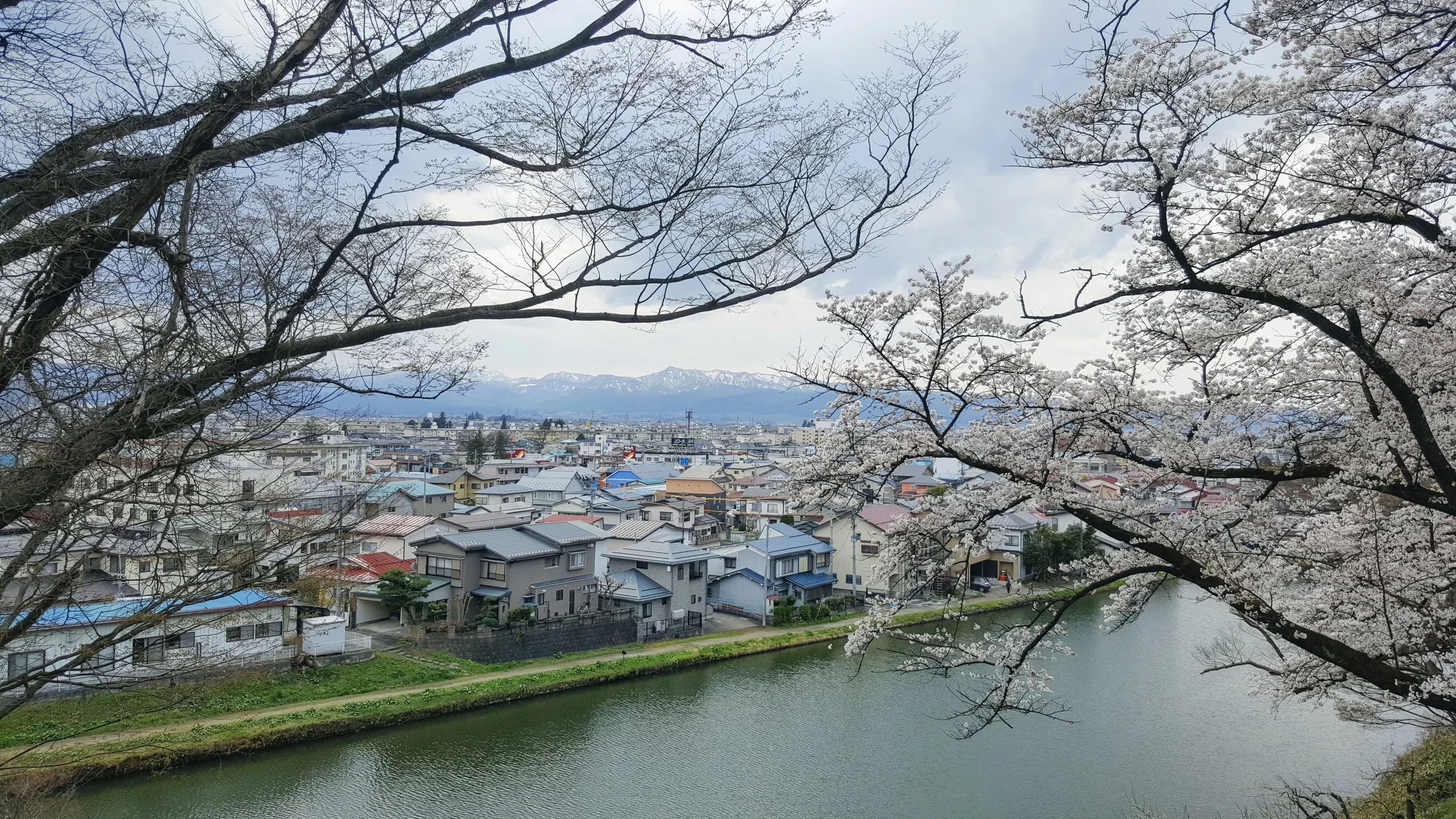 20170421_133548.jpg