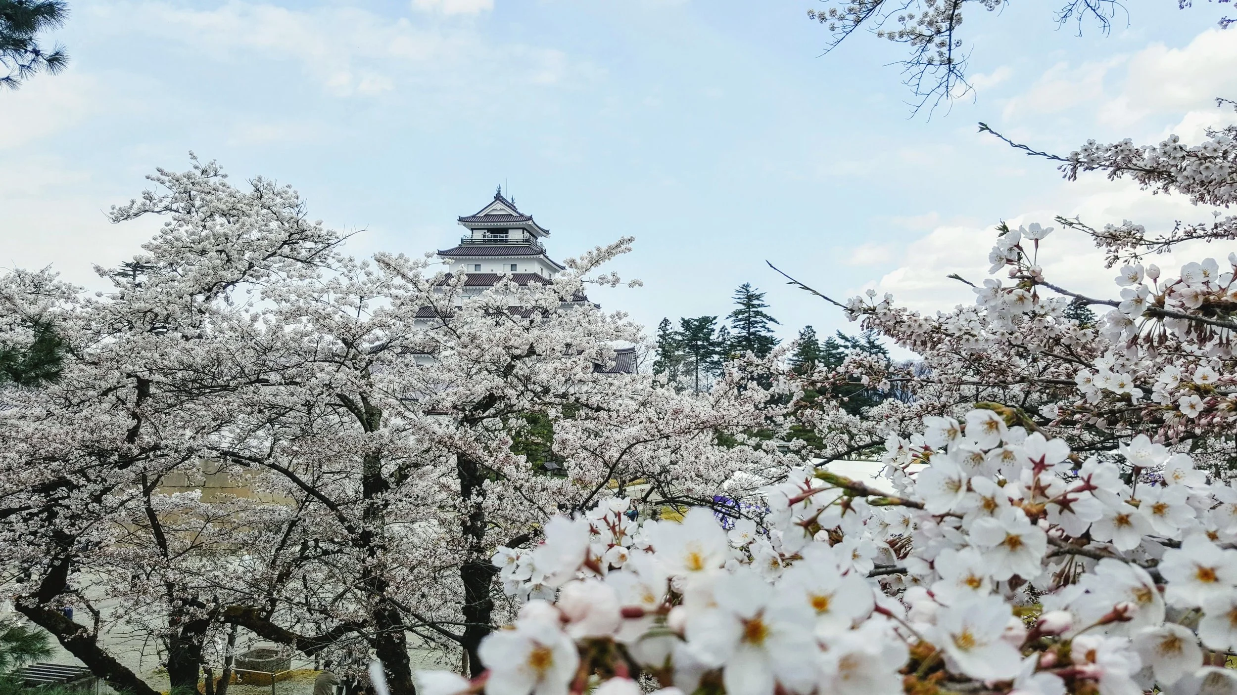 Tsuruga Castle