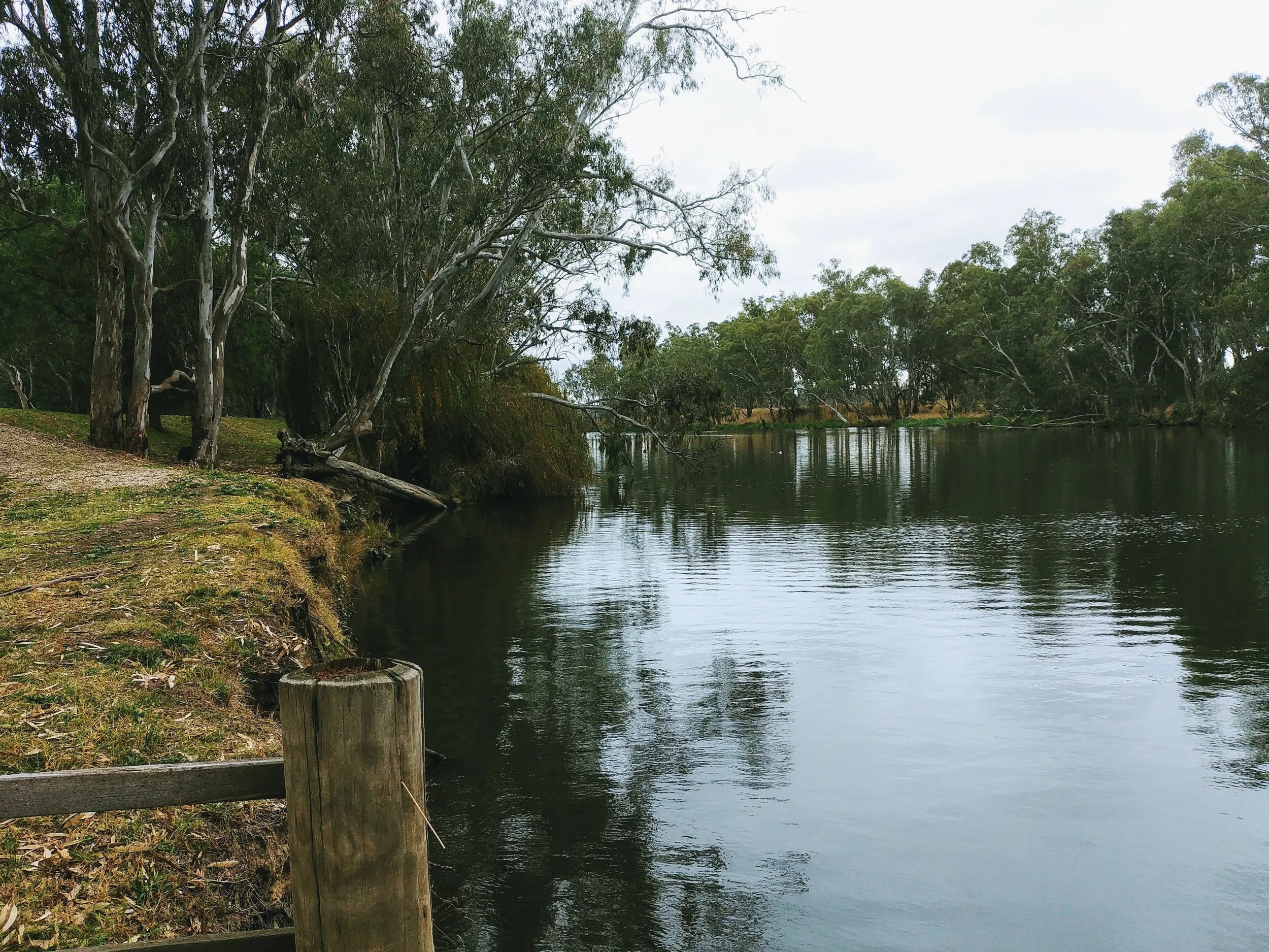 A walk along the Goulburn river to revitalise your senses