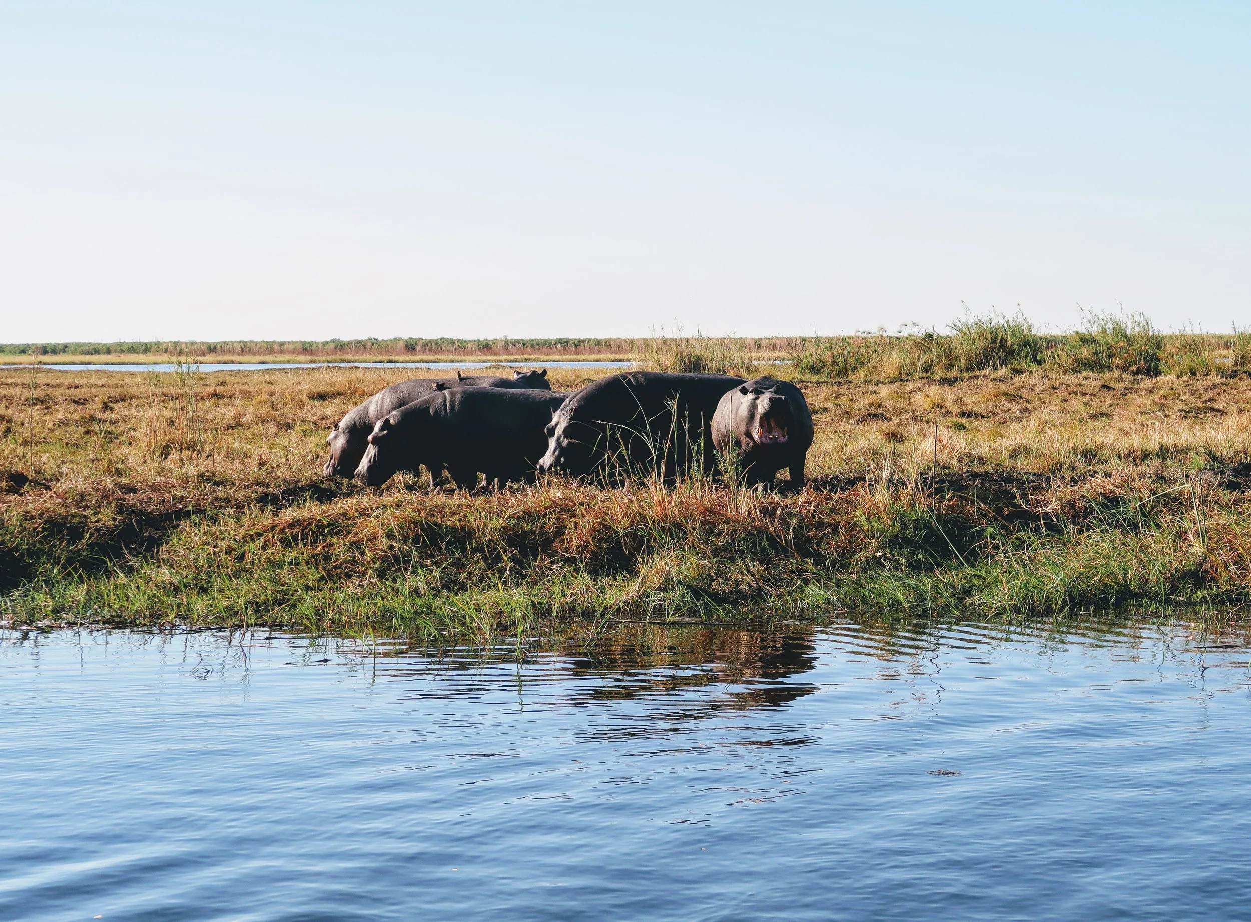 Botswana, A Secret Destination of Africa