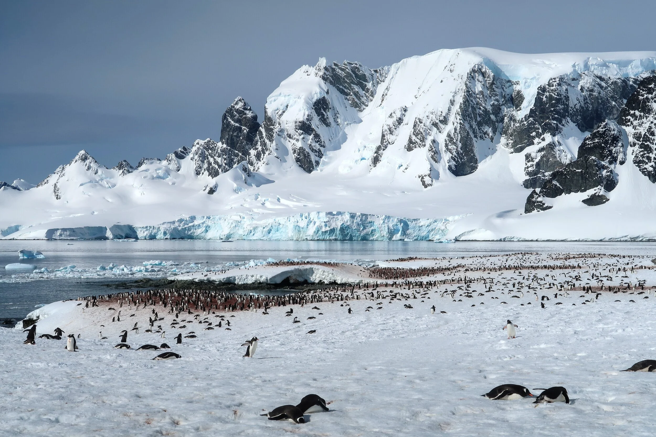 What It's Like to Travel to Antarctica