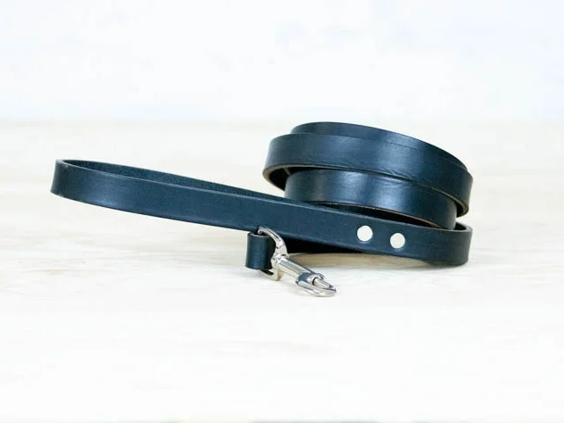 The Roman Dog Standard Leash, handcrafted from leather in the USA