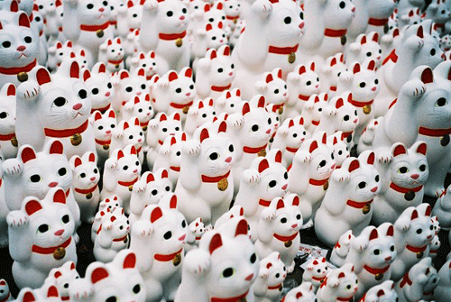 manekineko 3.gif