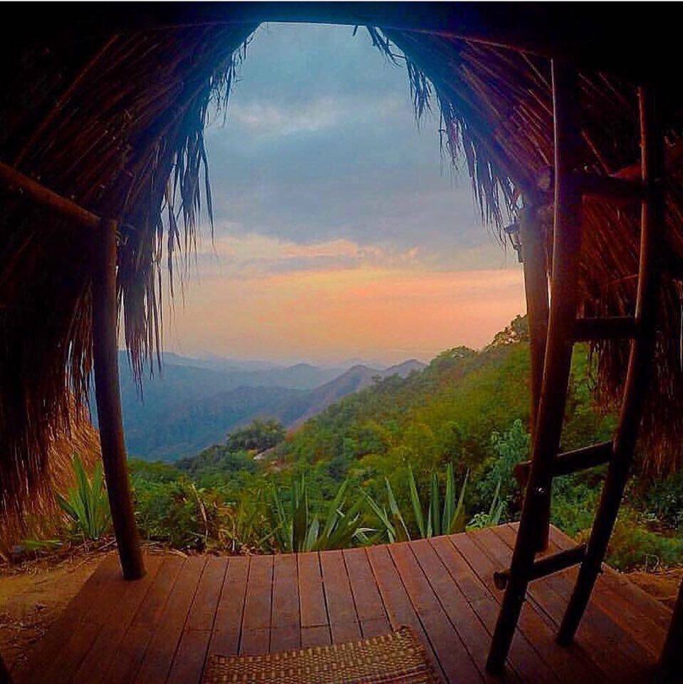 jungle hut.jpg