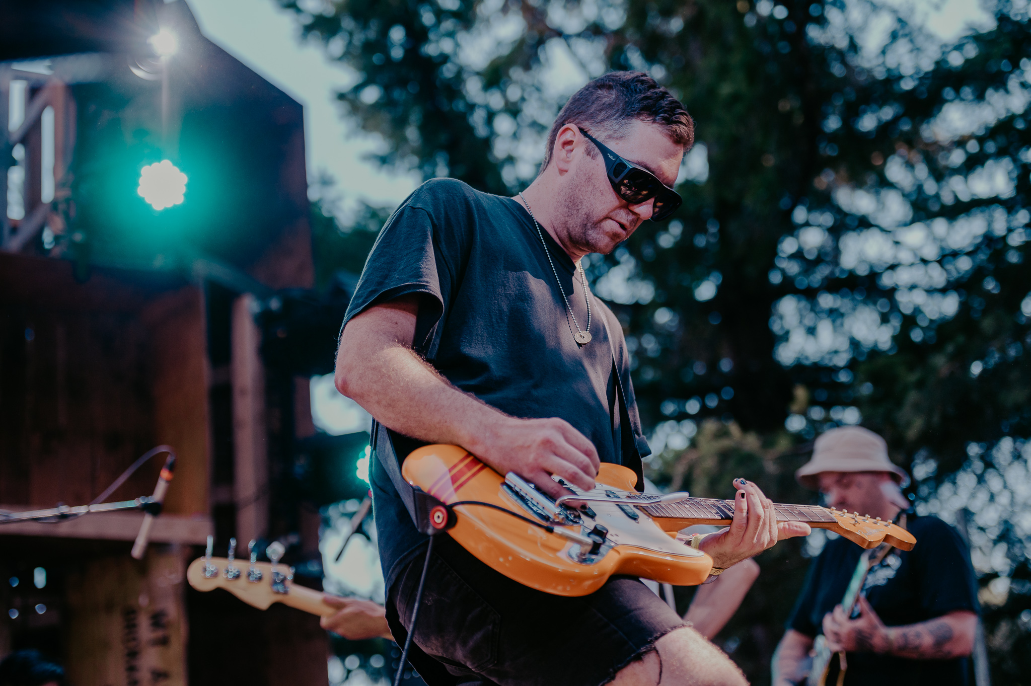Soft Kill; at the Treeline Stage
