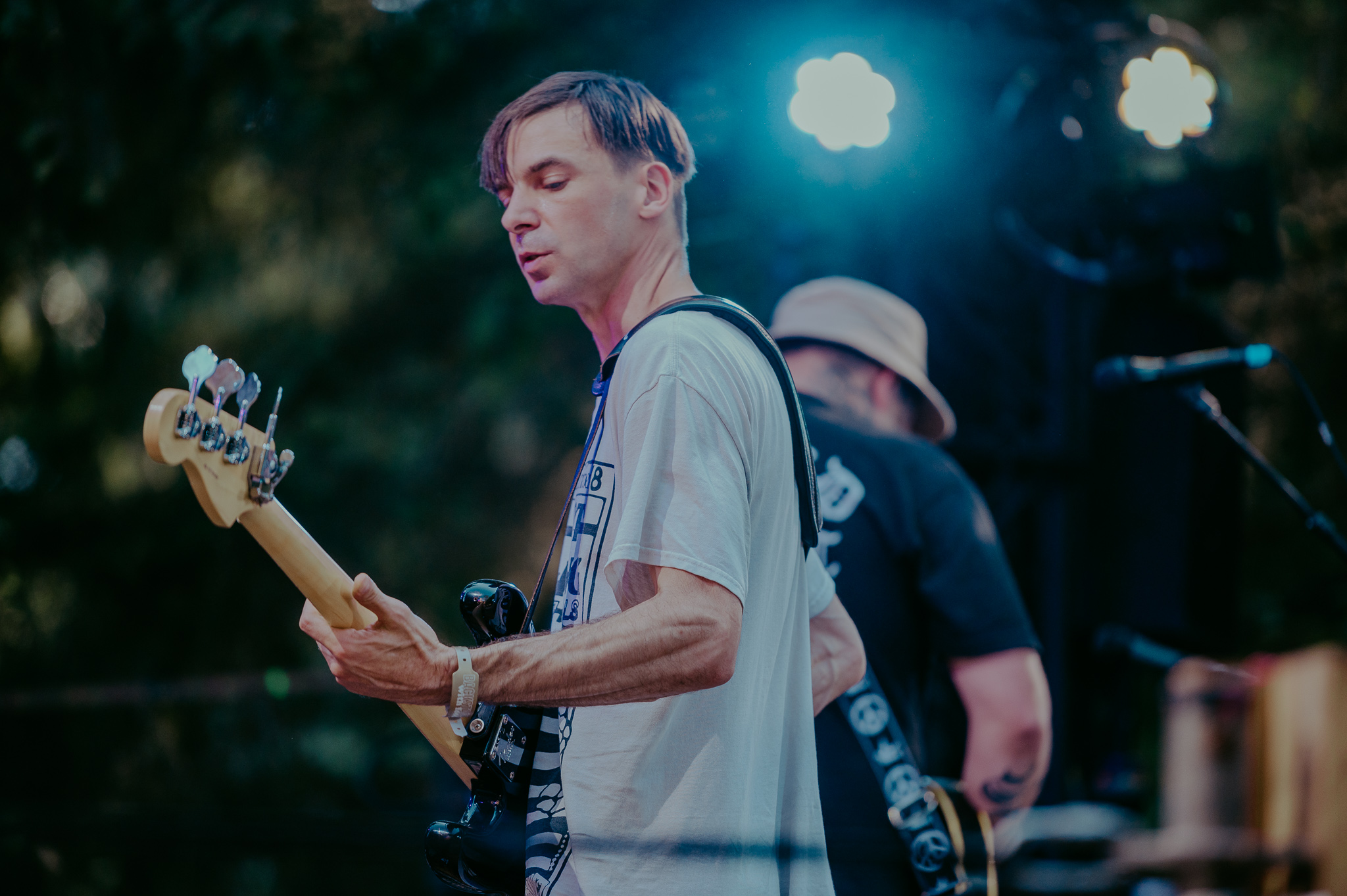 Soft Kill; at the Treeline Stage