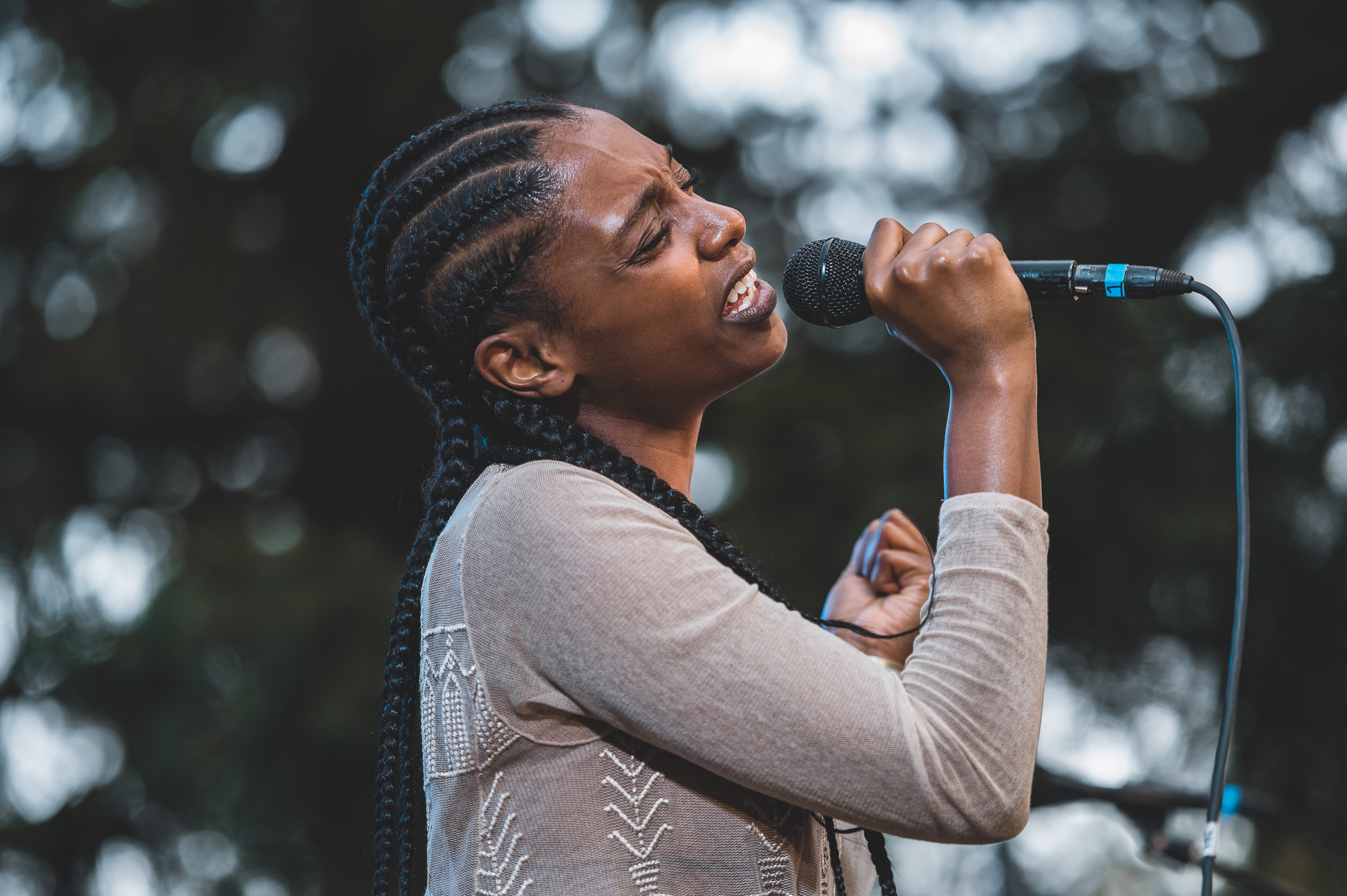 Mereba; at the Treeline Stage