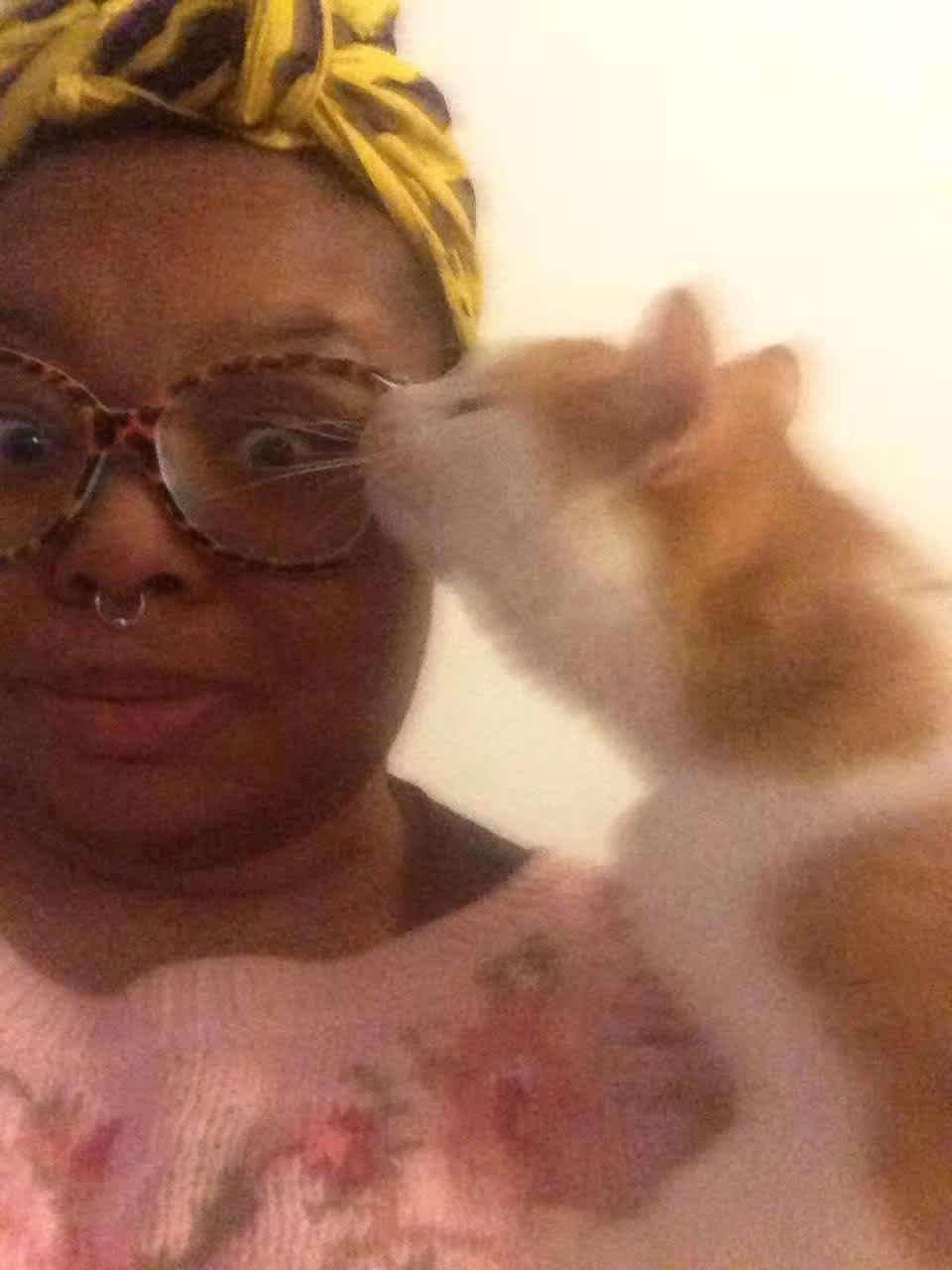 How I Travel the World as a Pet Sitter, and How You Can Too