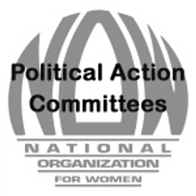 Alyse Galvin Endorsed by National Organization for Women Political Action Committee