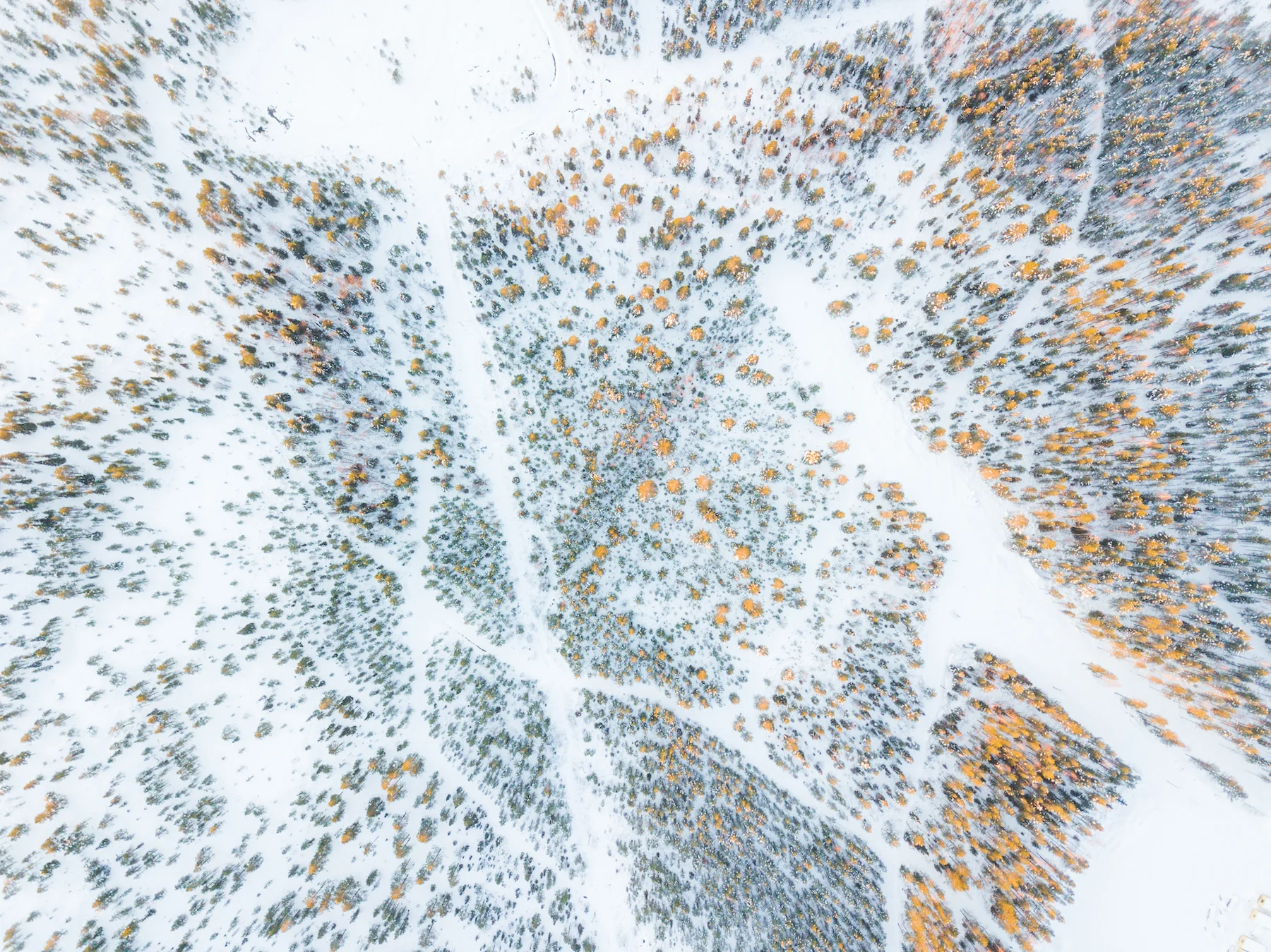DJI_0075.jpg