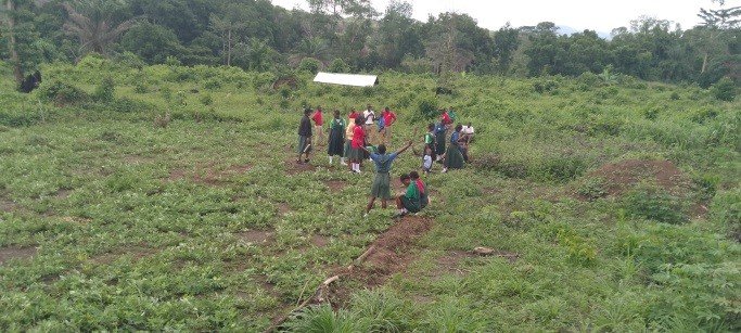 SDCF Tappita Farm 2025.jpg