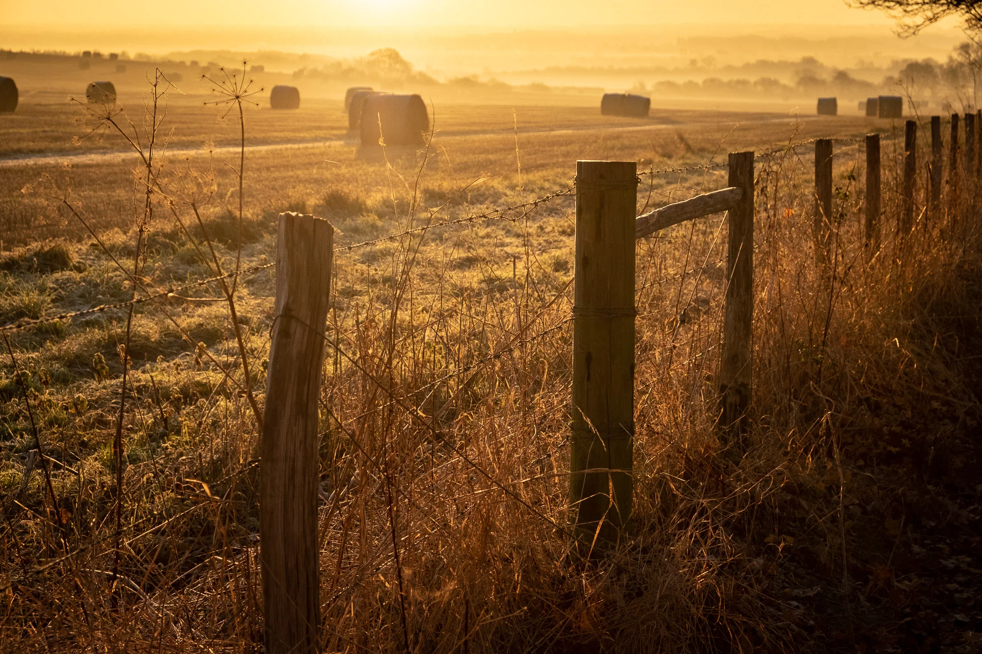DSCF7158-2.jpg