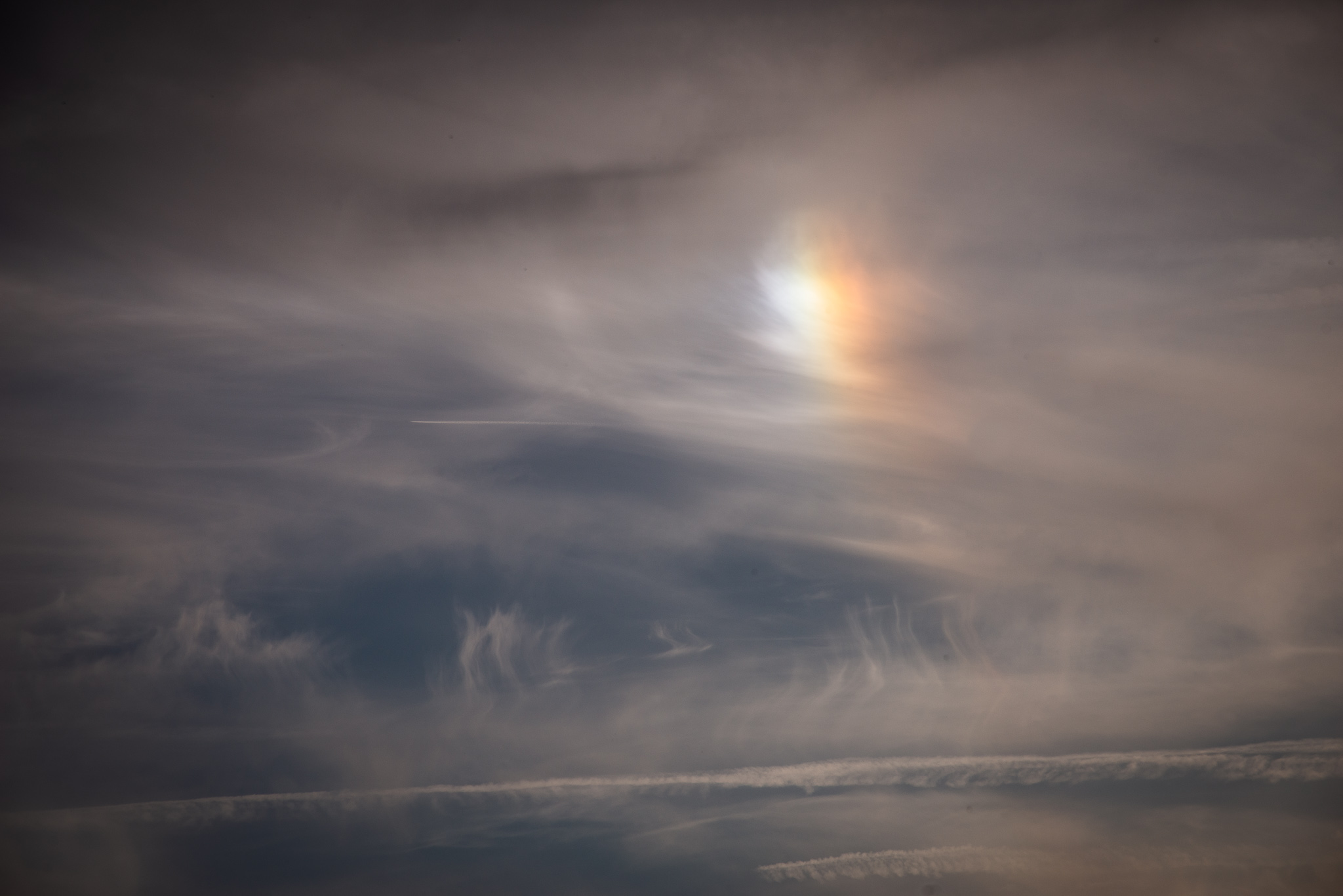 _DSC8956.jpg