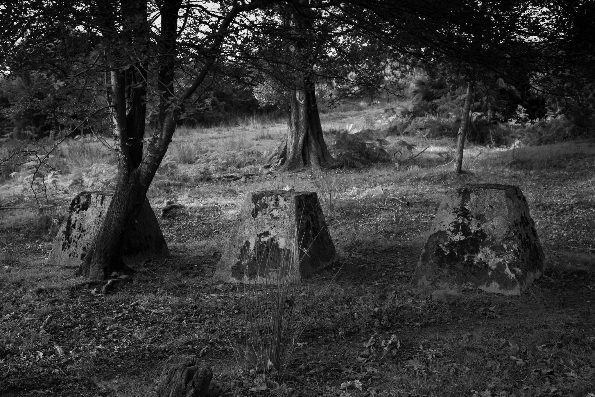 Anti Tank Pimples, Ashdown Forest
