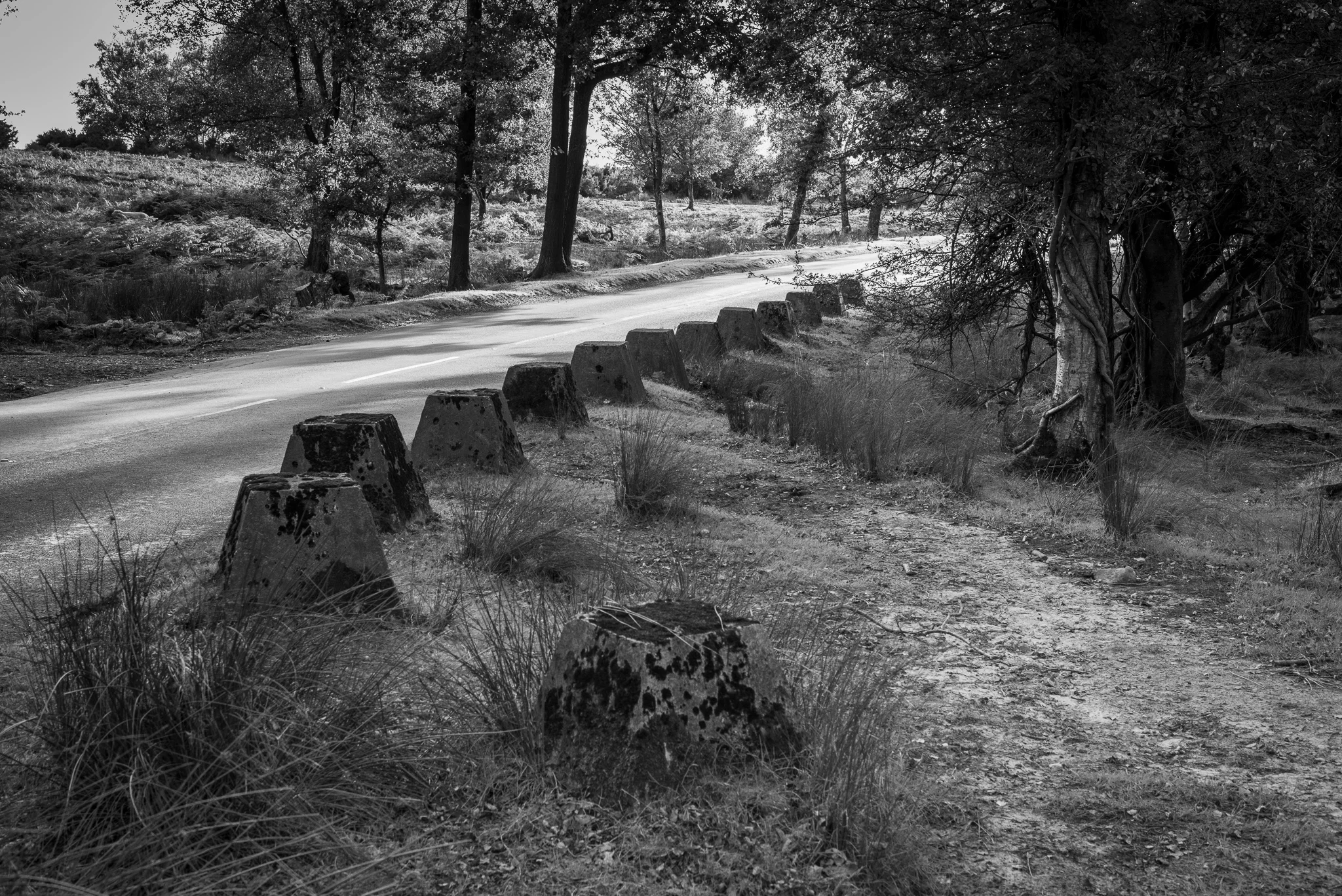 Anti Tank Pimples, Ashdown Forest