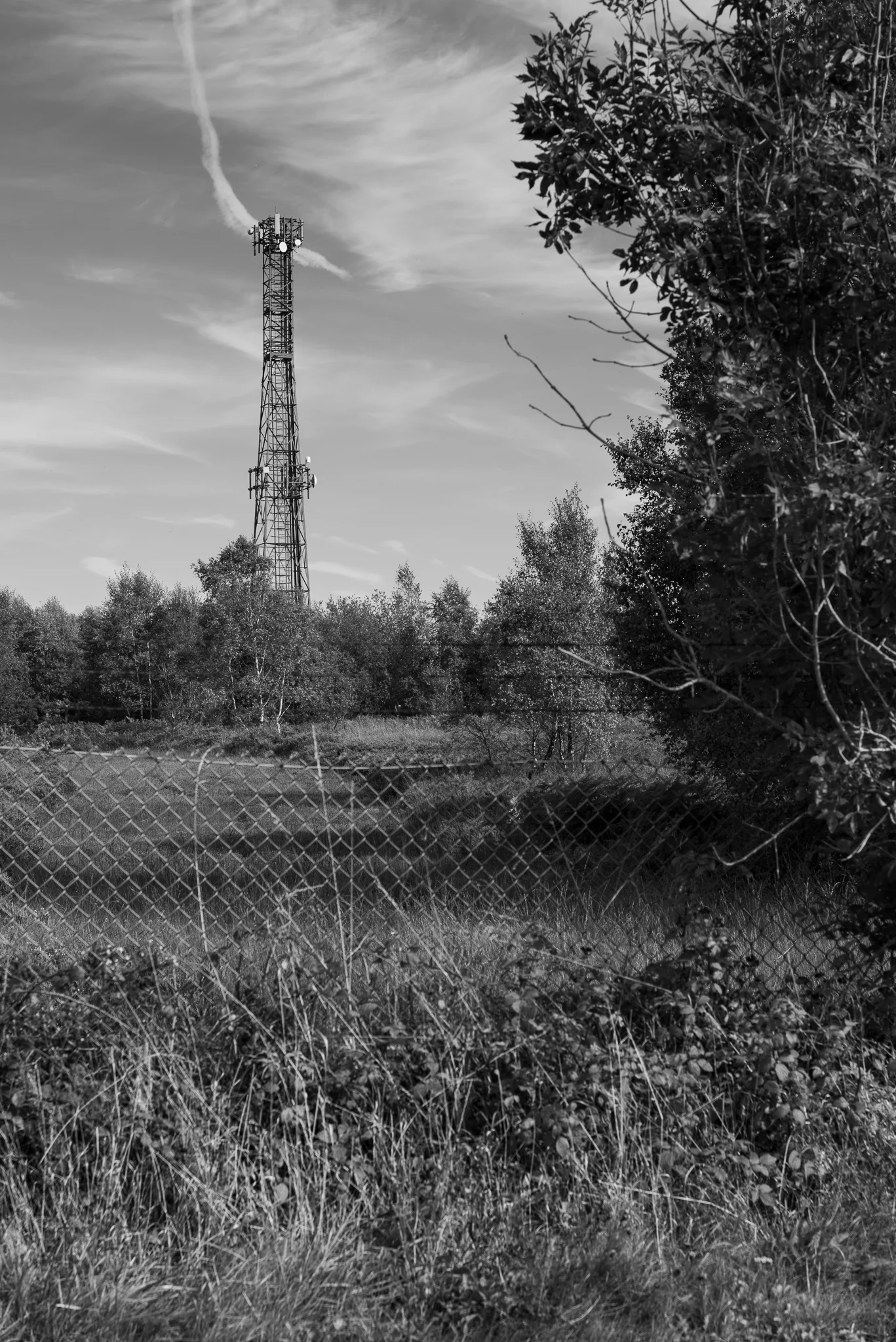Remnants of Propaganda Broadcast Site - Ashdown Forest