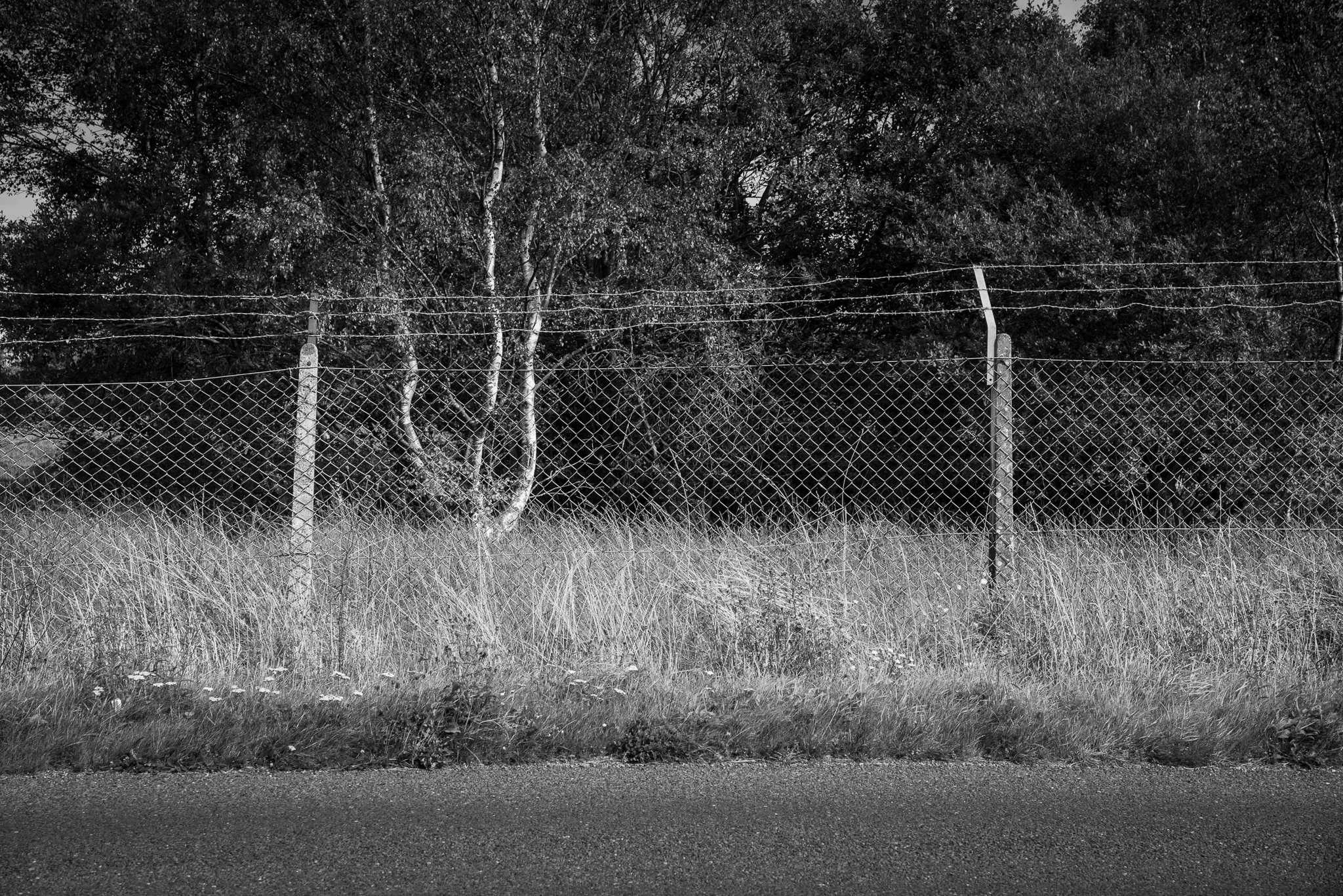 Remnants of Propaganda Broadcast Site - Ashdown Forest