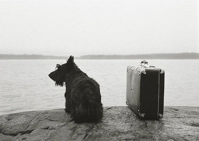 Dog with suitcase 1982.jpg