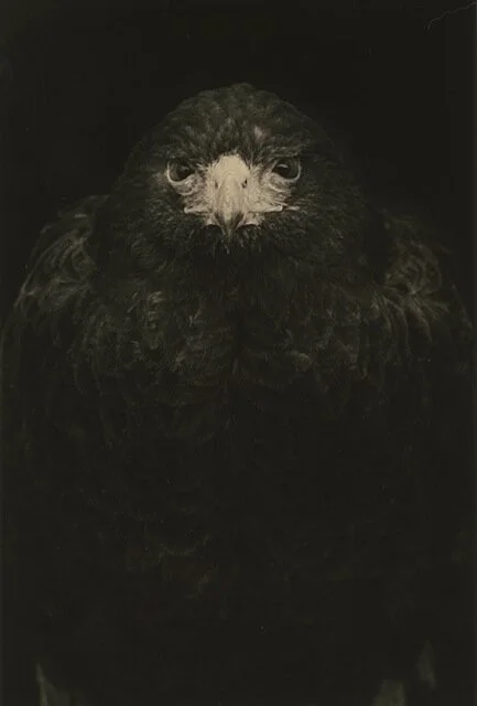 Yamamoto Masao - Kawa=Flow #1649