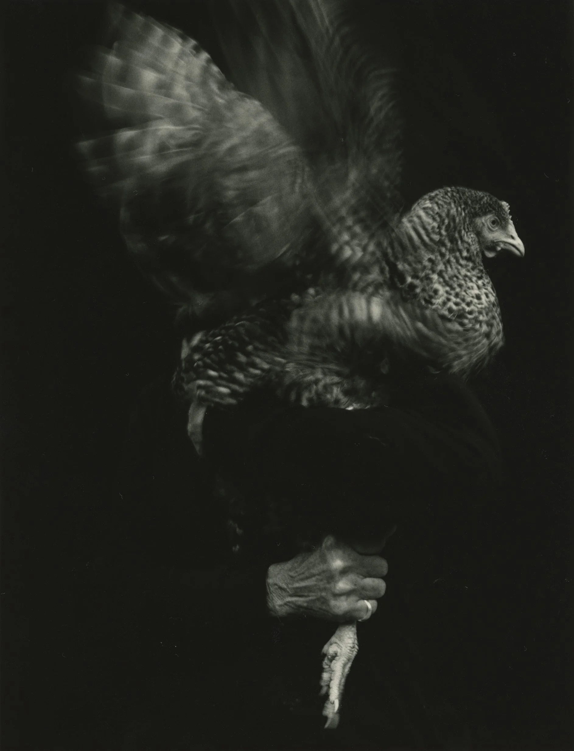 La vie simple_#5033.jpeg