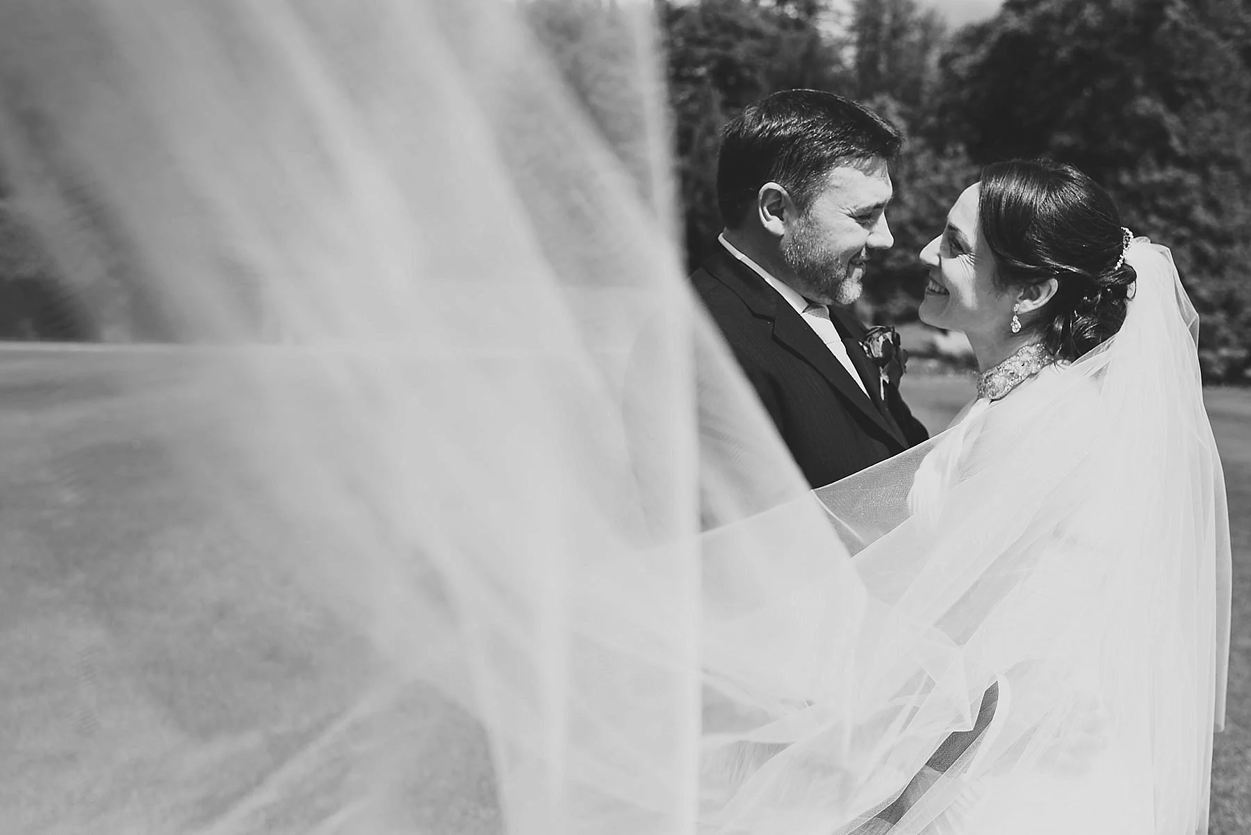 veil wedding portrait