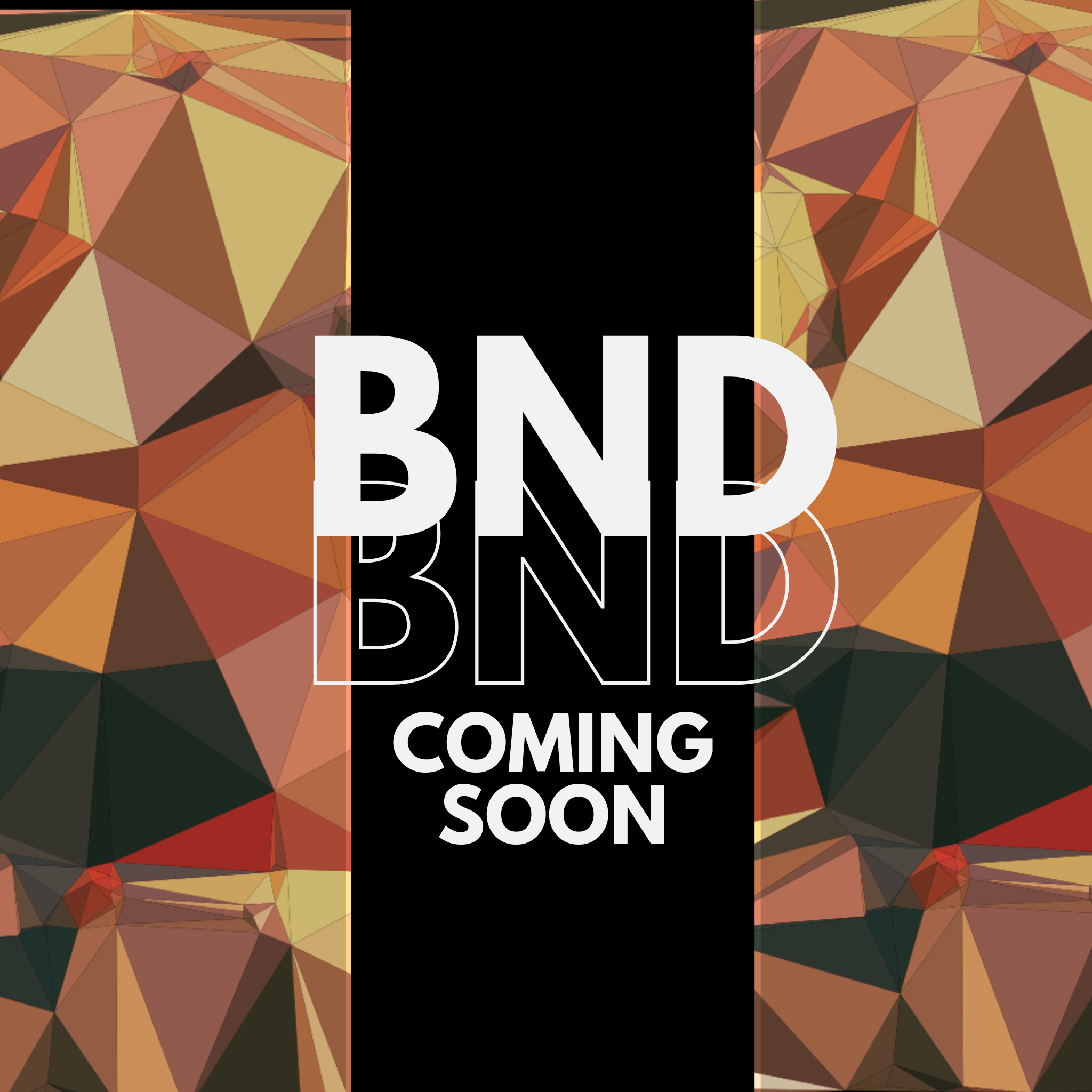 BND Magazine Launch