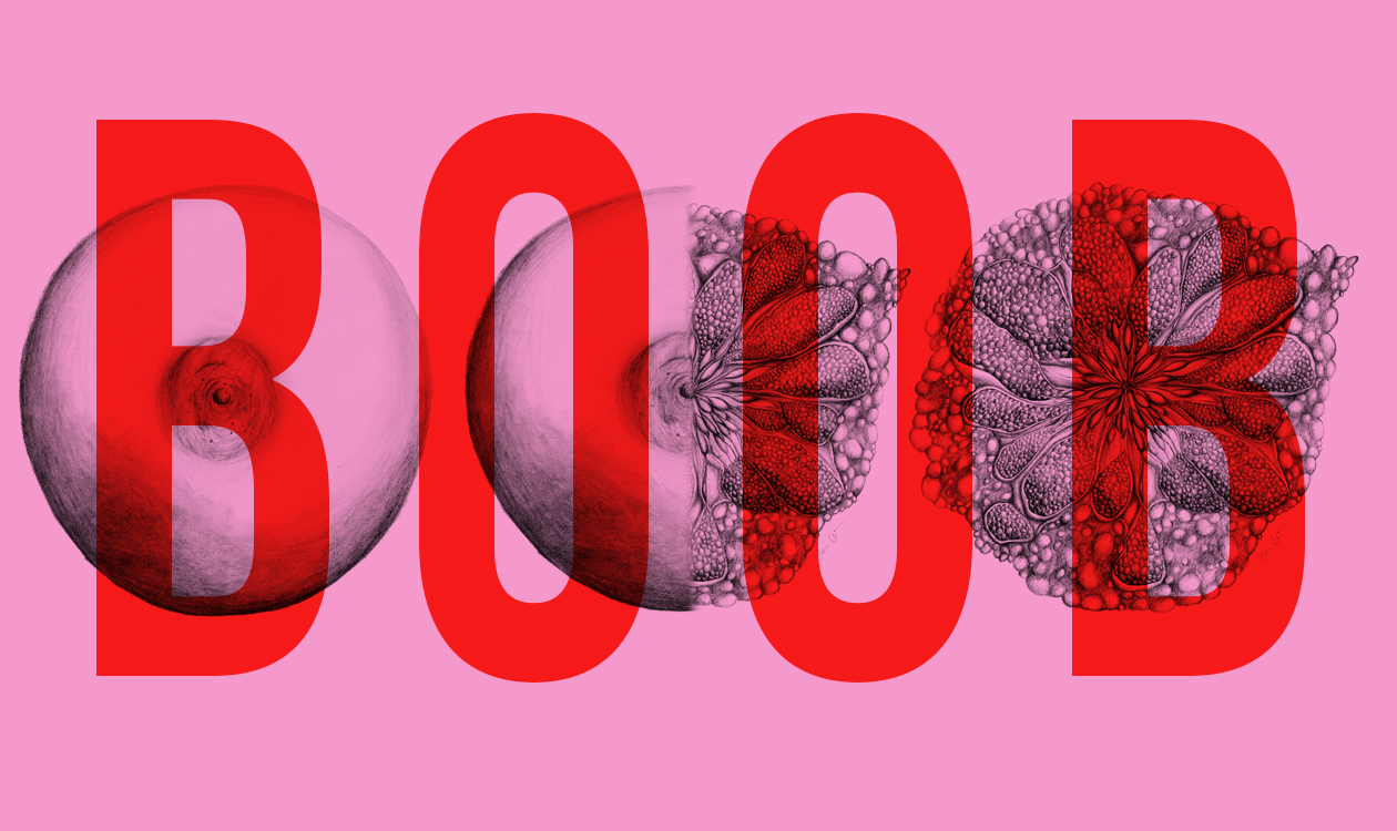 Boob-web-header.jpg