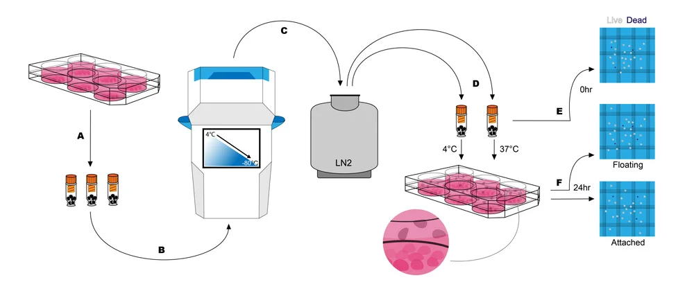 The final schematic