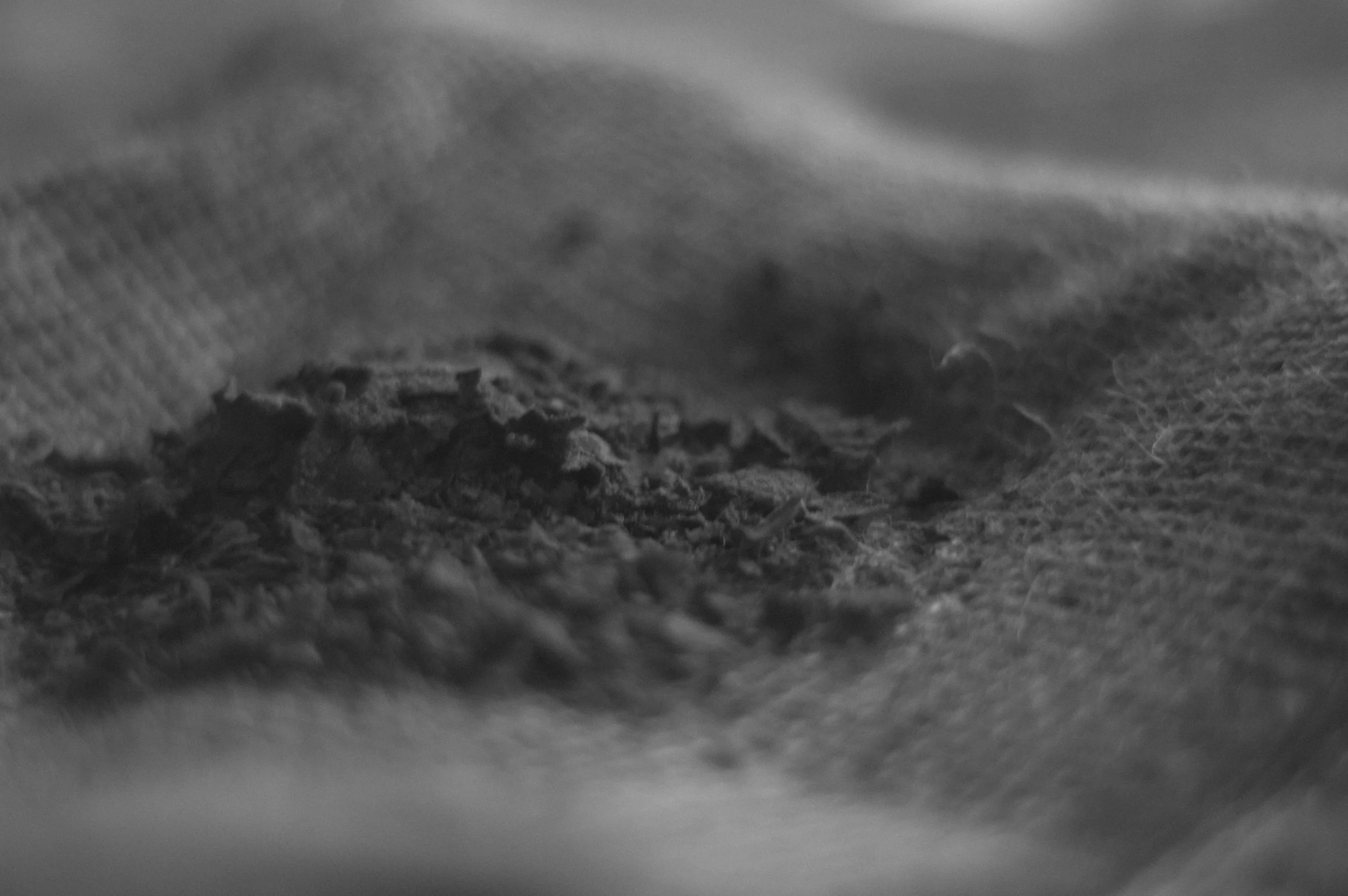 An Ash Wednesday Reflection