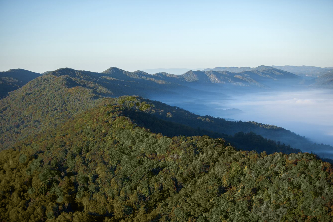 Go & Tell : A Q&A on the Southwest Virginia Partnership