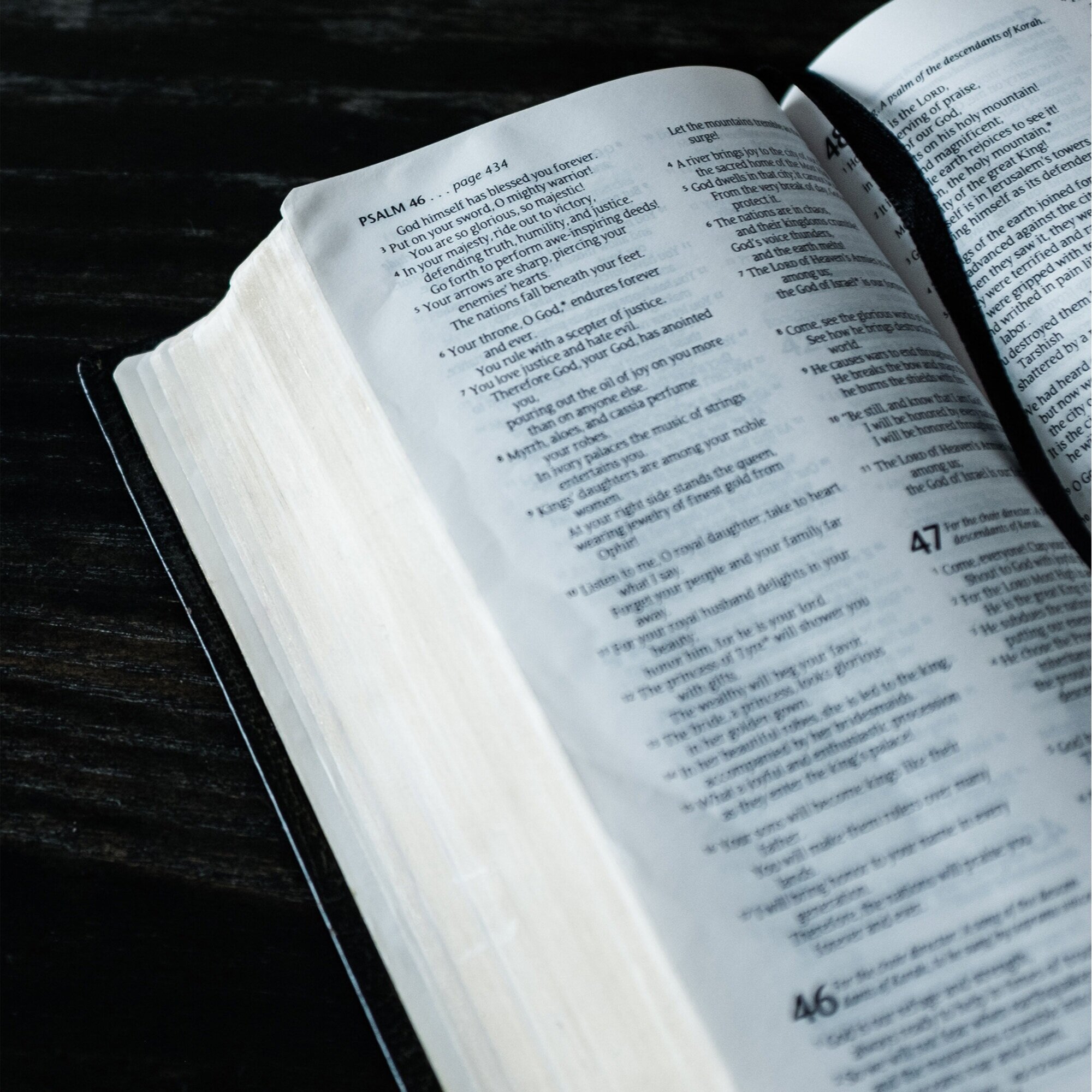 Through the Bible Live Stream | March 17, 2021