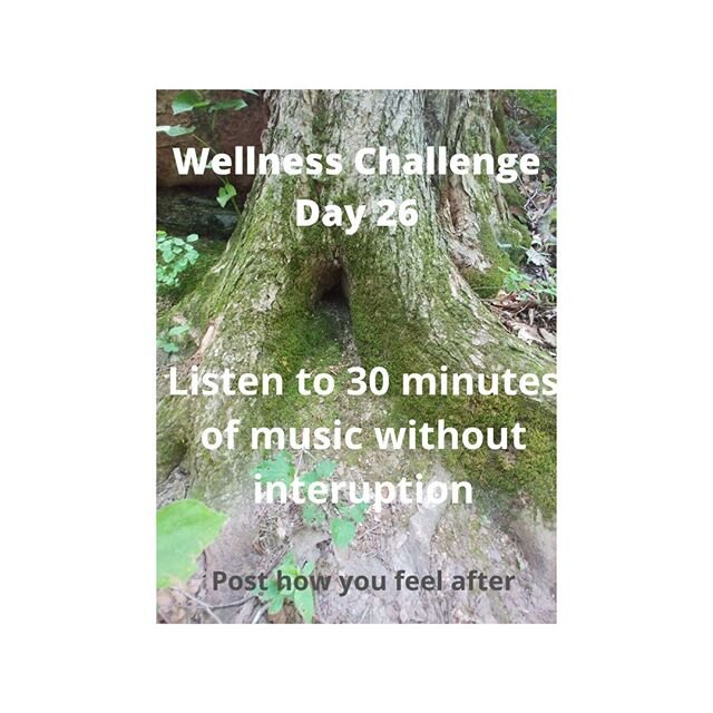 Wellness challenge: Post daily your comment or pic and tag the Yoga Farm @yogafarmtn (at least within 24 hrs) to receive a point. Like and share the challenge to receive another point. Top 3 winners will earn a prize
#30daychallenge #wellnesschalleng