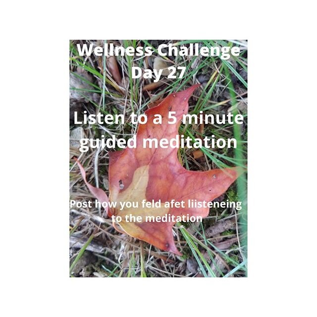 Wellness challenge: Post daily your comment or pic and tag the Yoga Farm @yogafarmtn (at least within 24 hrs) to receive a point. Like and share the challenge to receive another point. Top 3 winners will earn a prize
#30daychallenge #wellnesschalleng