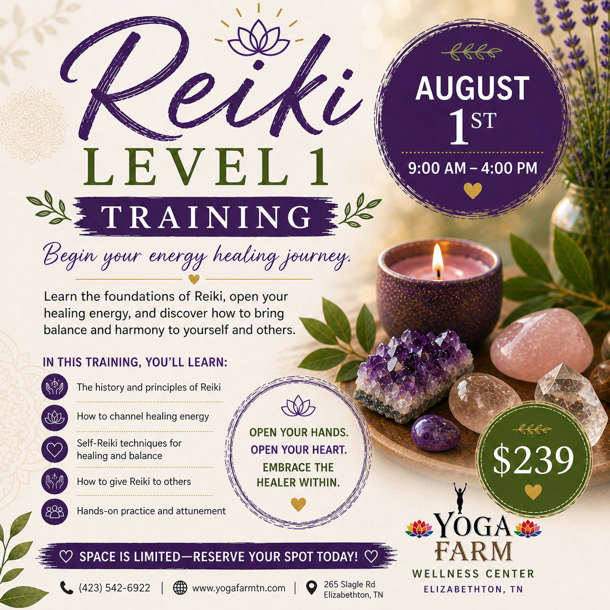 Reiki Level 1 Training