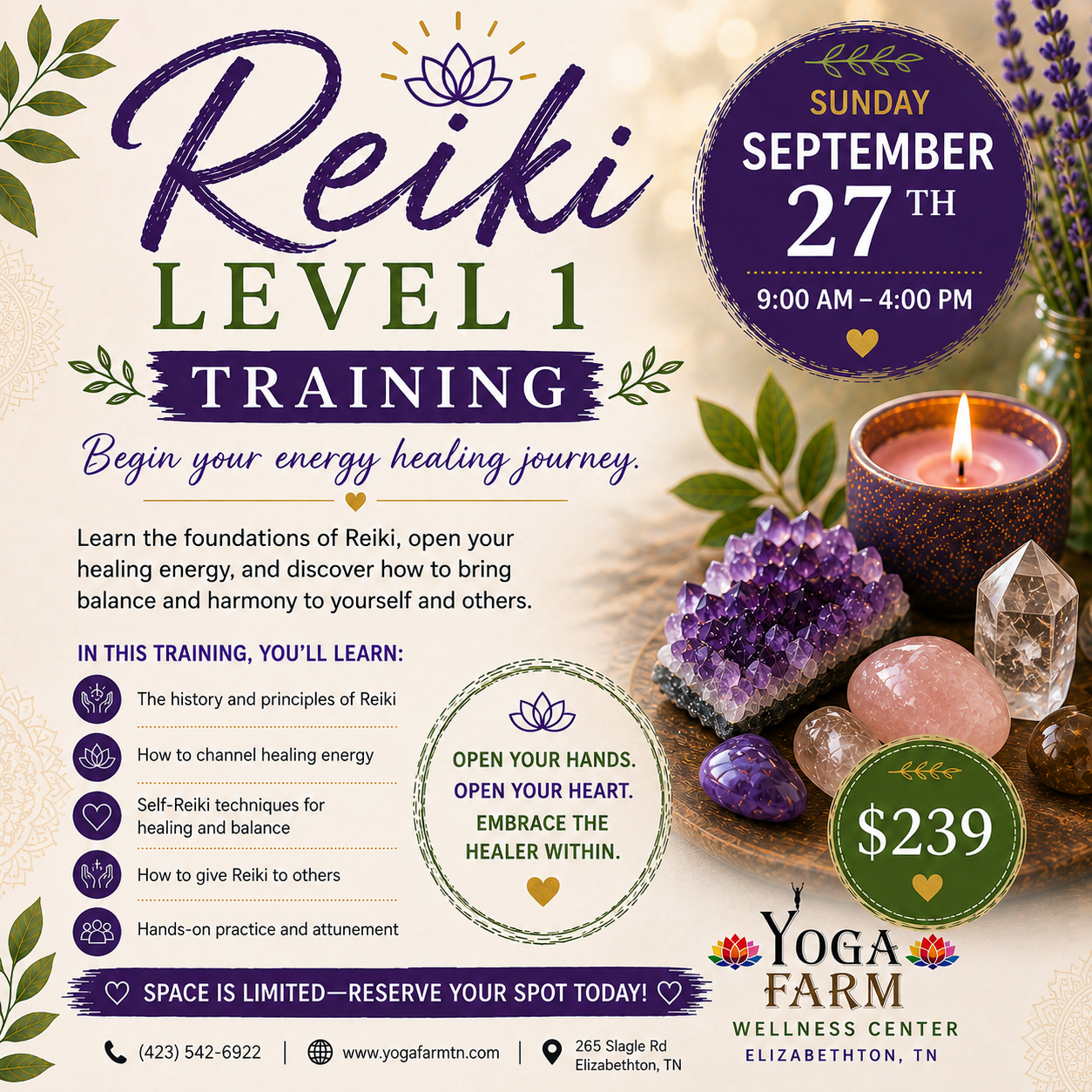 Reiki Level 1 Training 